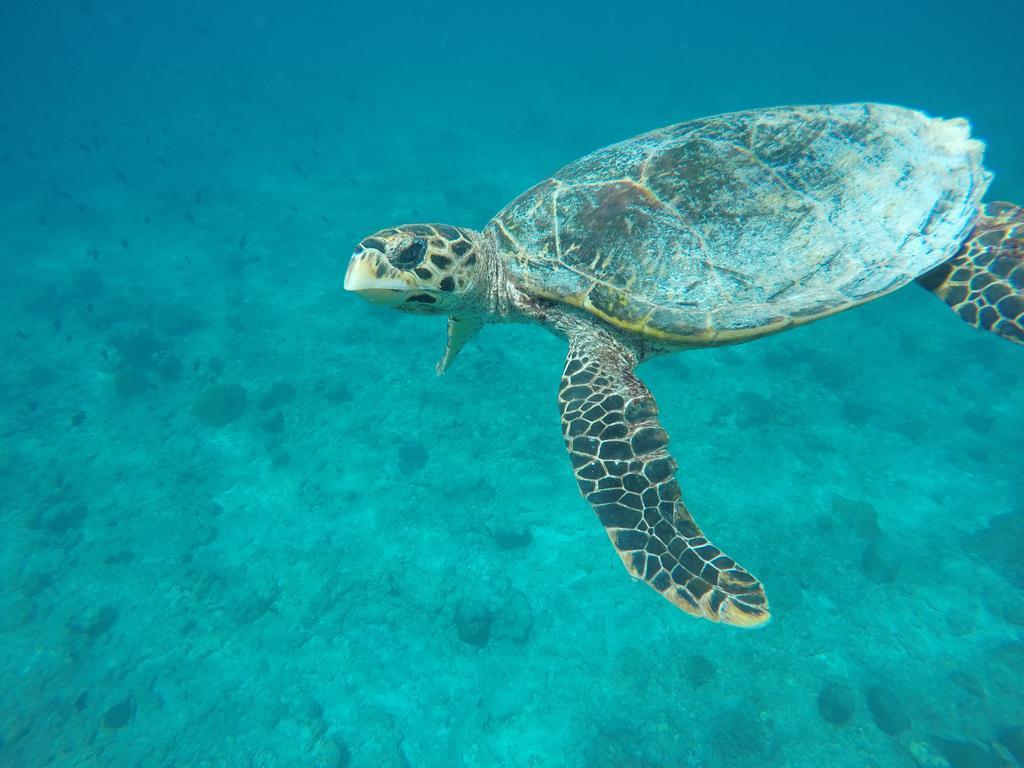 Maldives Seashine Hotel Huraa Kültér fotó