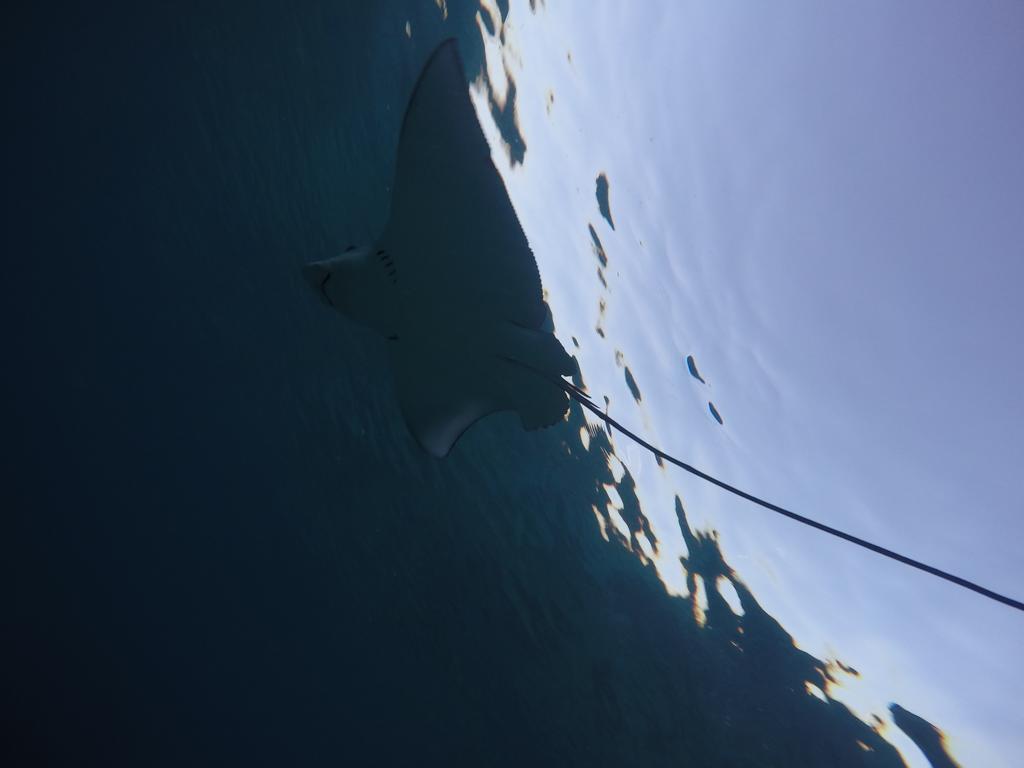 Maldives Seashine Hotel Huraa Kültér fotó