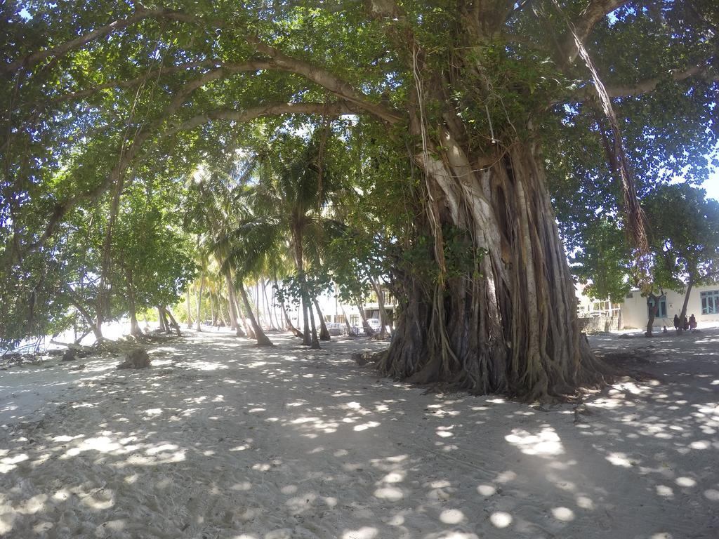 Maldives Seashine Hotel Huraa Kültér fotó