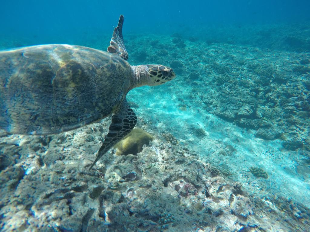 Maldives Seashine Hotel Huraa Kültér fotó