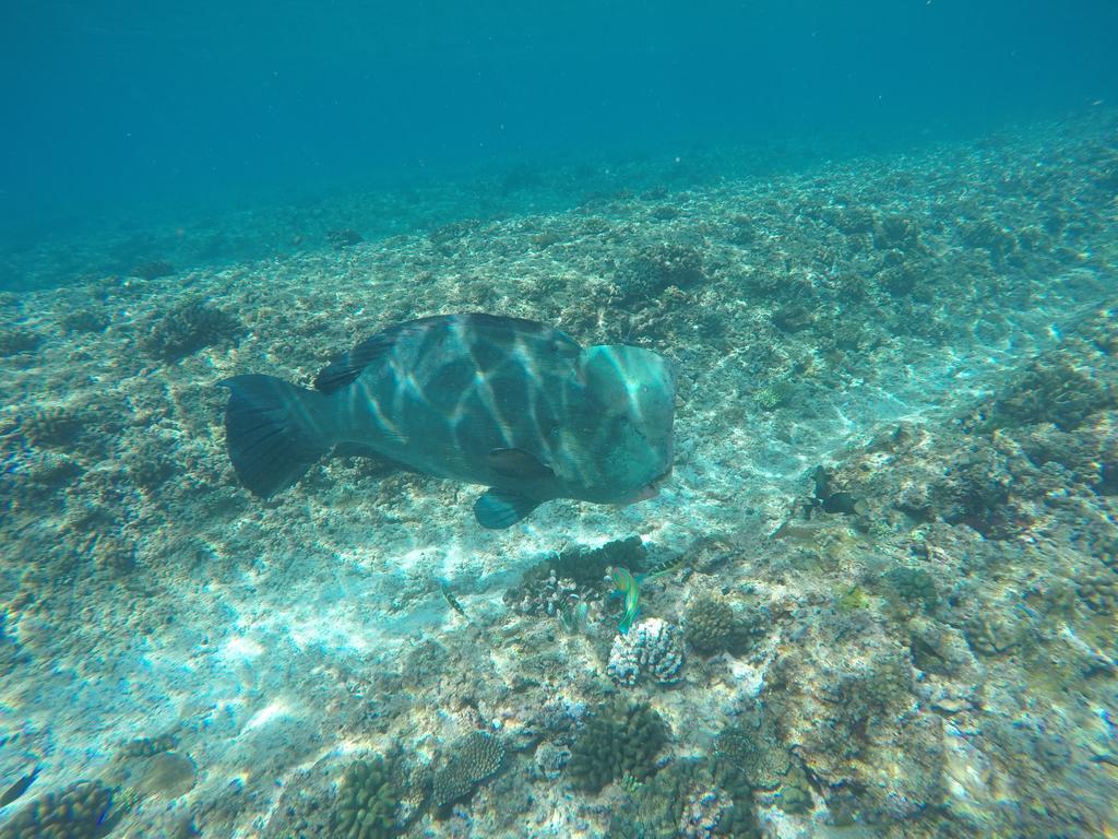 Maldives Seashine Hotel Huraa Kültér fotó