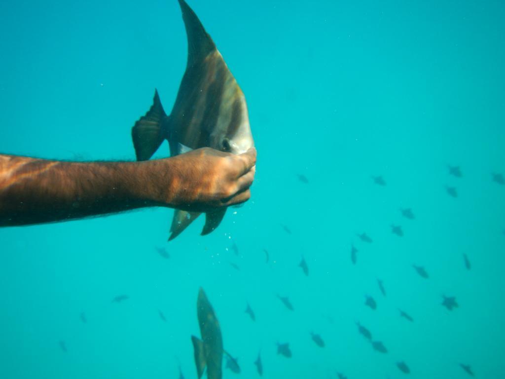 Maldives Seashine Hotel Huraa Kültér fotó